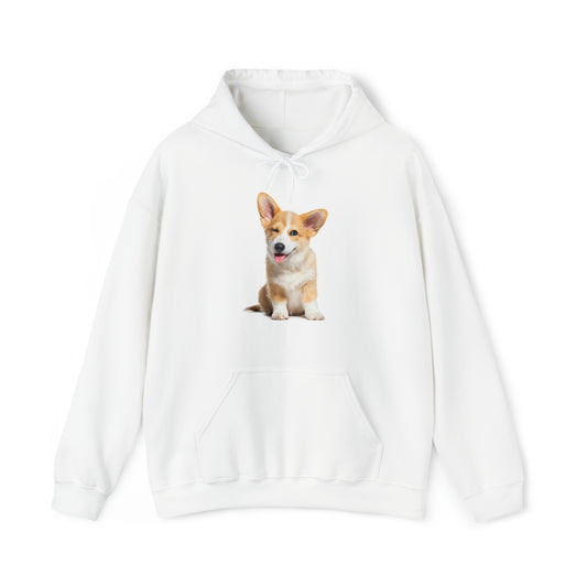 Unisex Heavy Blend Hooded Sweatshirt